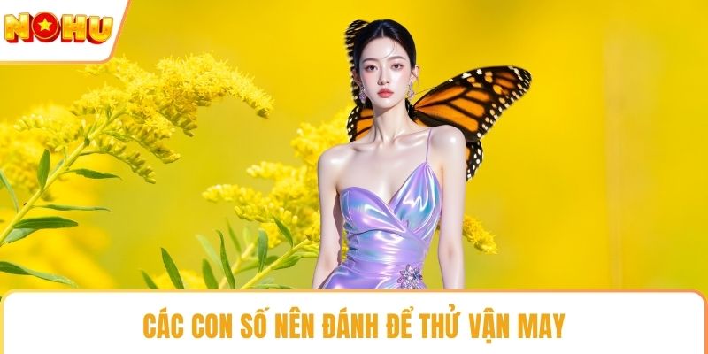 Các con số nên đánh để thử vận may