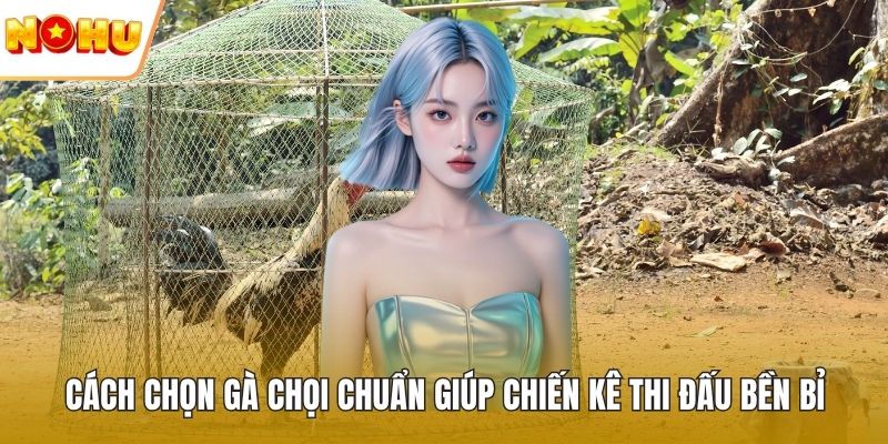 Cách chọn gà chọi