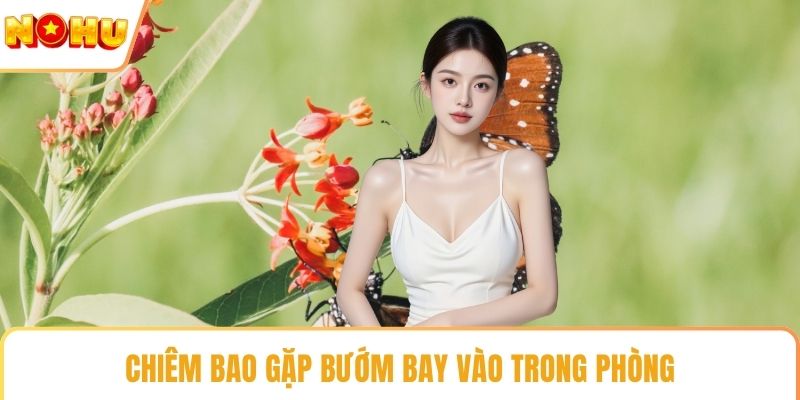 Chiêm bao gặp bướm bay vào trong phòng
