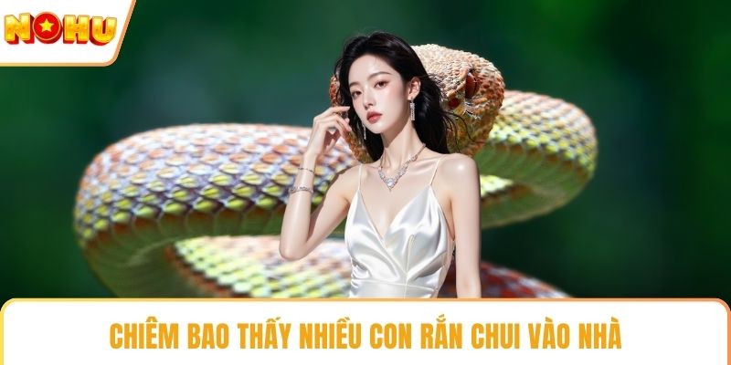 Chiêm bao thấy nhiều con rắn chui vào nhà