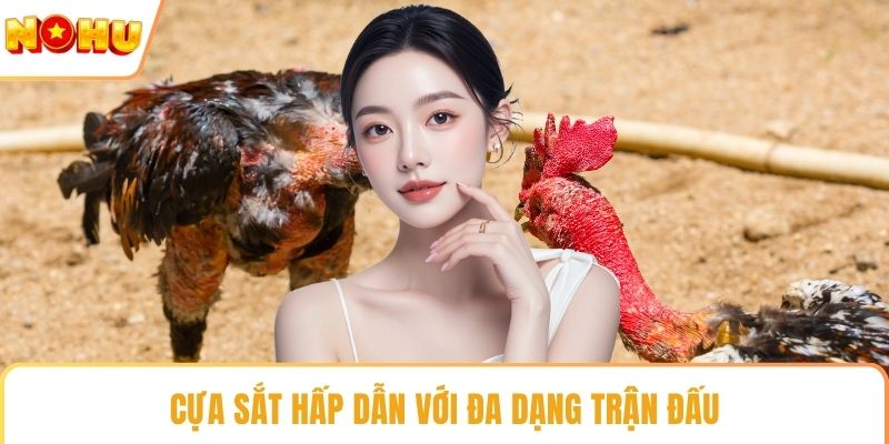 Cựa sắt hấp dẫn với đa dạng trận đấu