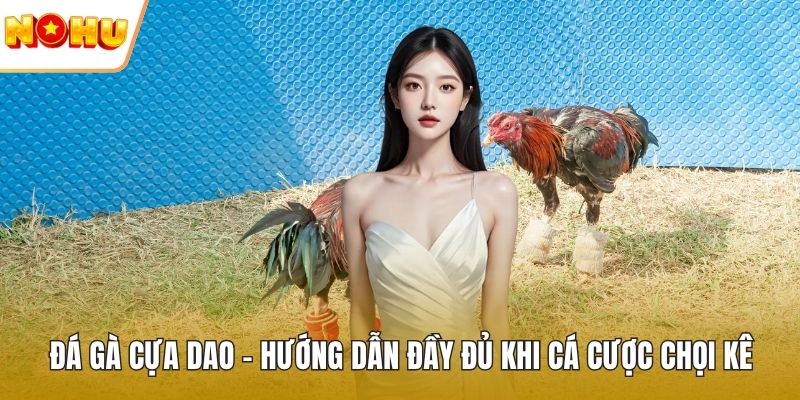 Đá gà cựa dao