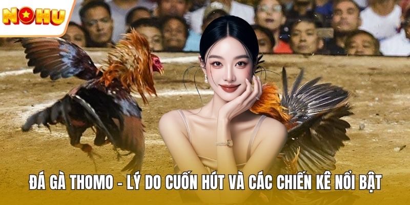 Đá gà Thomo