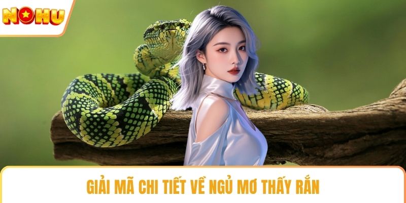 Giải mã chi tiết về ngủ mơ thấy rắn