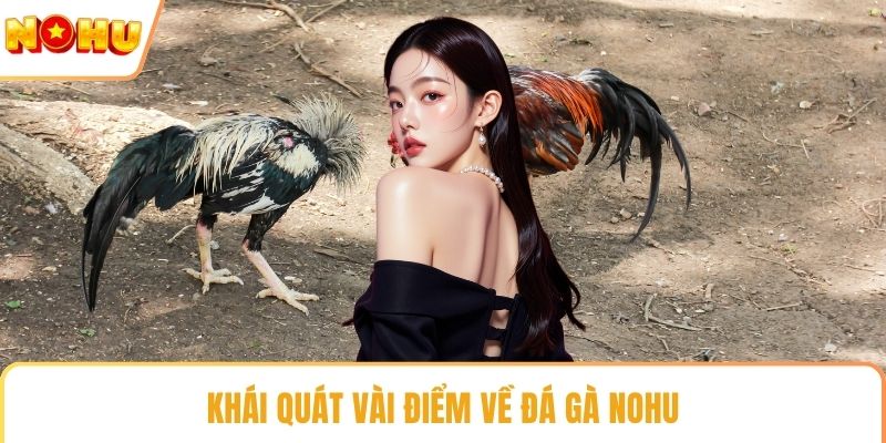 Khái quát vài điểm về đá gà NOHU