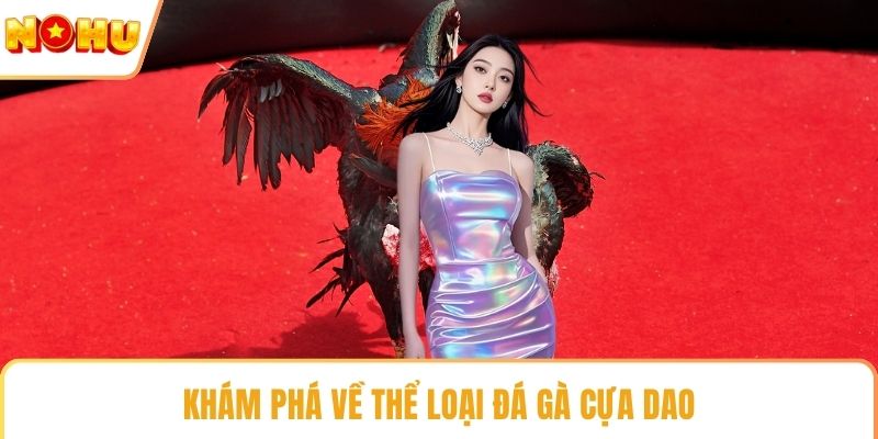 Khám phá về thể loại đá gà cựa dao