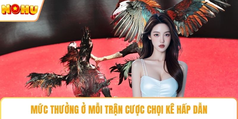 Mức thưởng ở mỗi trận cược chọi kê hấp dẫn