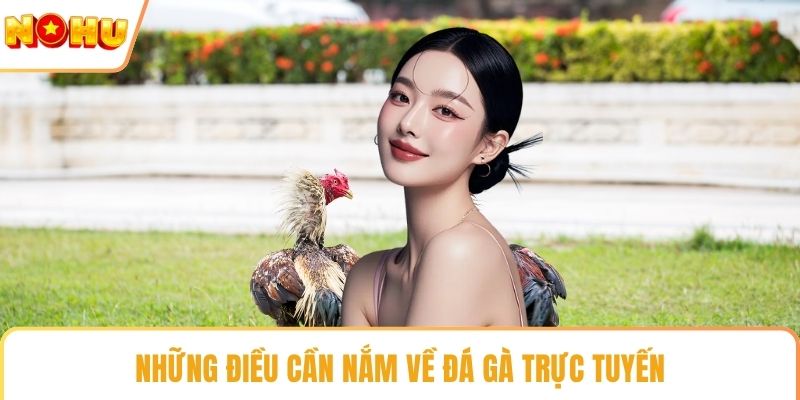Những điều cần nắm về đá gà trực tuyến