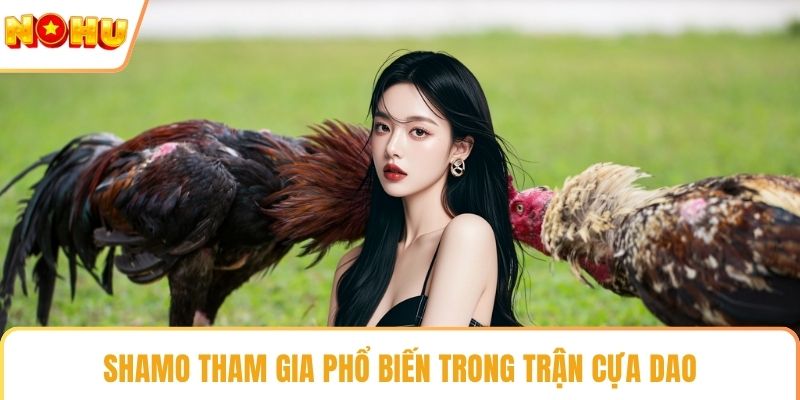 Shamo tham gia phổ biến trong trận cựa dao