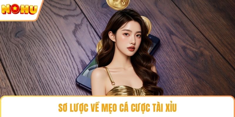 Sơ lược về mẹo cá cược tài xỉu