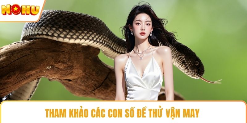 Tham khảo các con số để thử vận may 