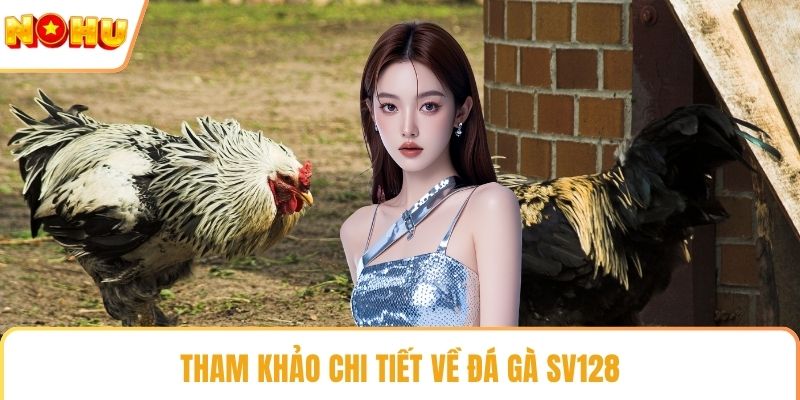 Tham khảo chi tiết về đá gà SV128