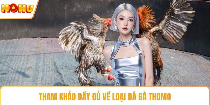 Tham khảo đầy đủ về loại đá gà Thomo