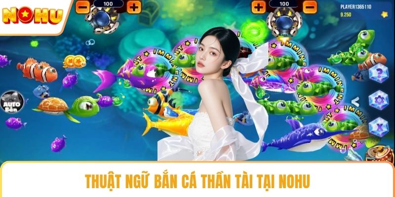 Thuật ngữ bắn cá thần tài tại NOHU