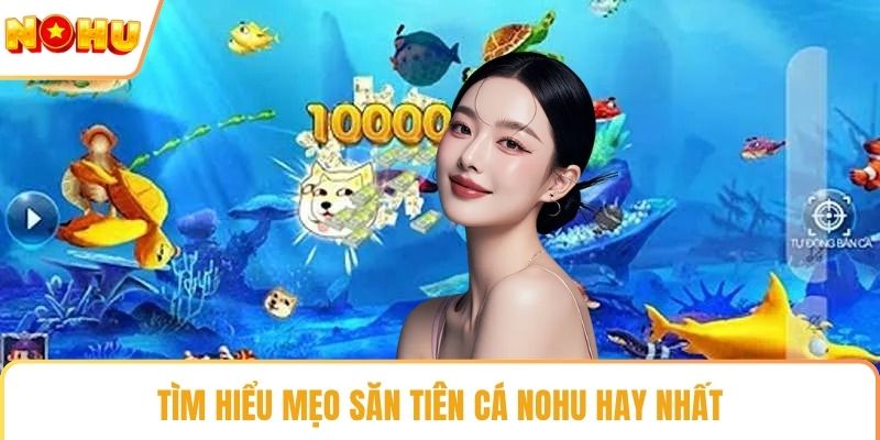 Tìm hiểu mẹo săn tiên cá NOHU hay nhất