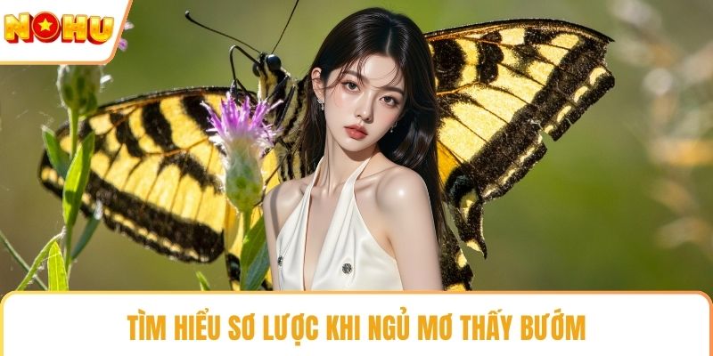 Tìm hiểu sơ lược khi ngủ mơ thấy bướm