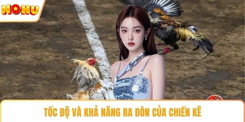 Tốc độ và khả năng ra đòn của chiến kê