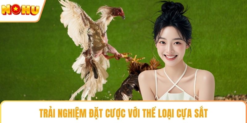 Trải nghiệm đặt cược với thể loại cựa sắt